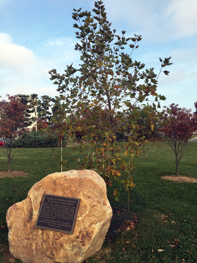 31015425903_7022ca684f_k