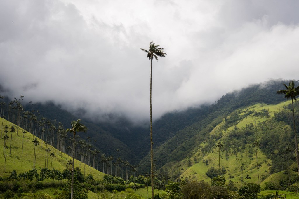 38590035512_361e0caa27_k