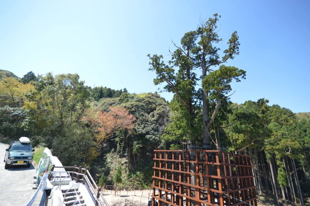 26233719_1461874680576549_7639083727854451195_o