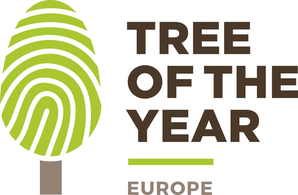 ety_logo_RGB_PNG_1primary