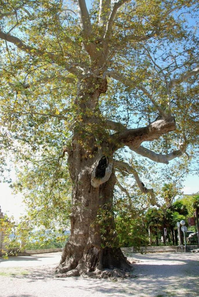 Republic of Croatia_07_ETY2017_CREDIT_autor unknown_resize