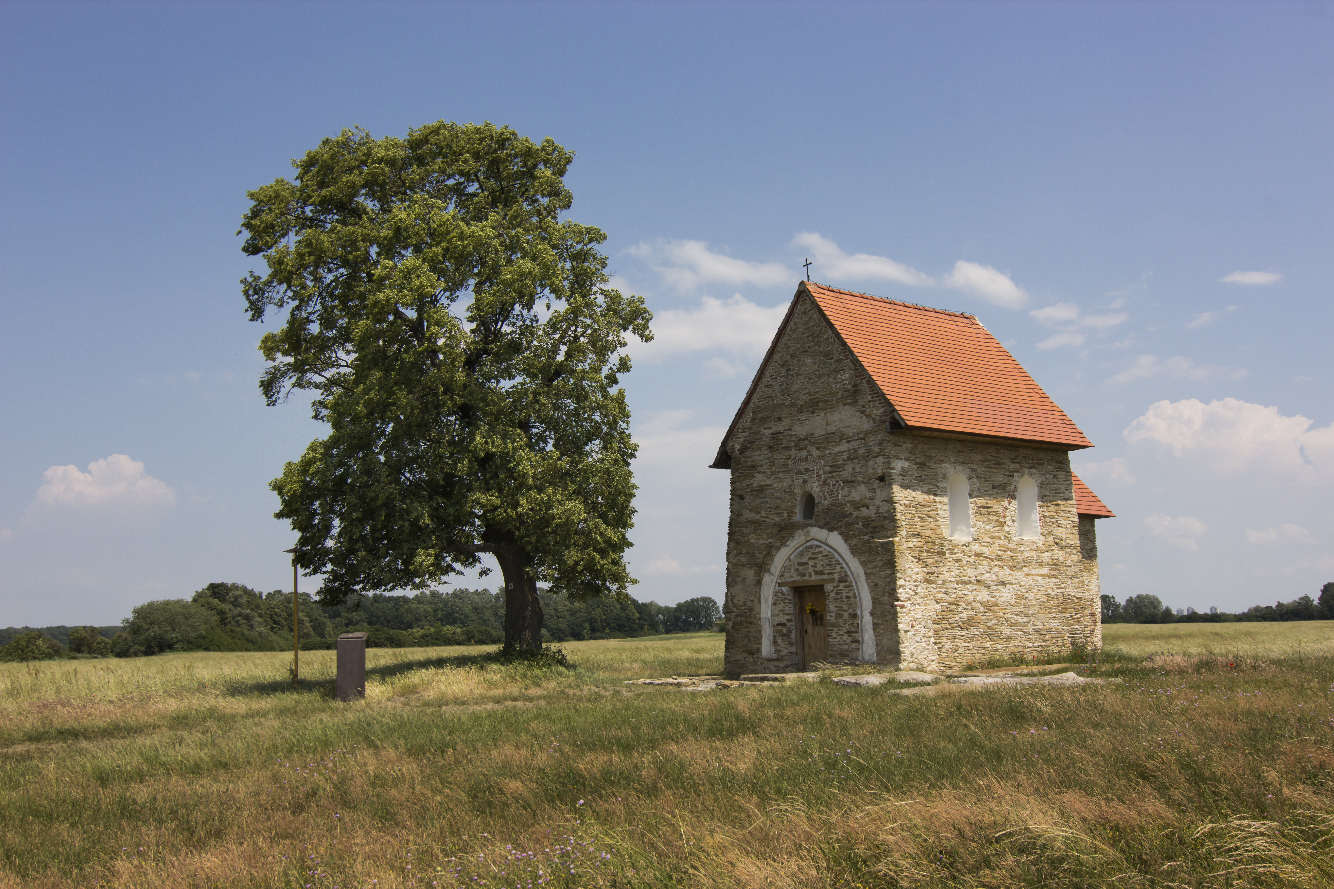 Guardian of Great moravia secrets slovak republic European tree of the year 2019