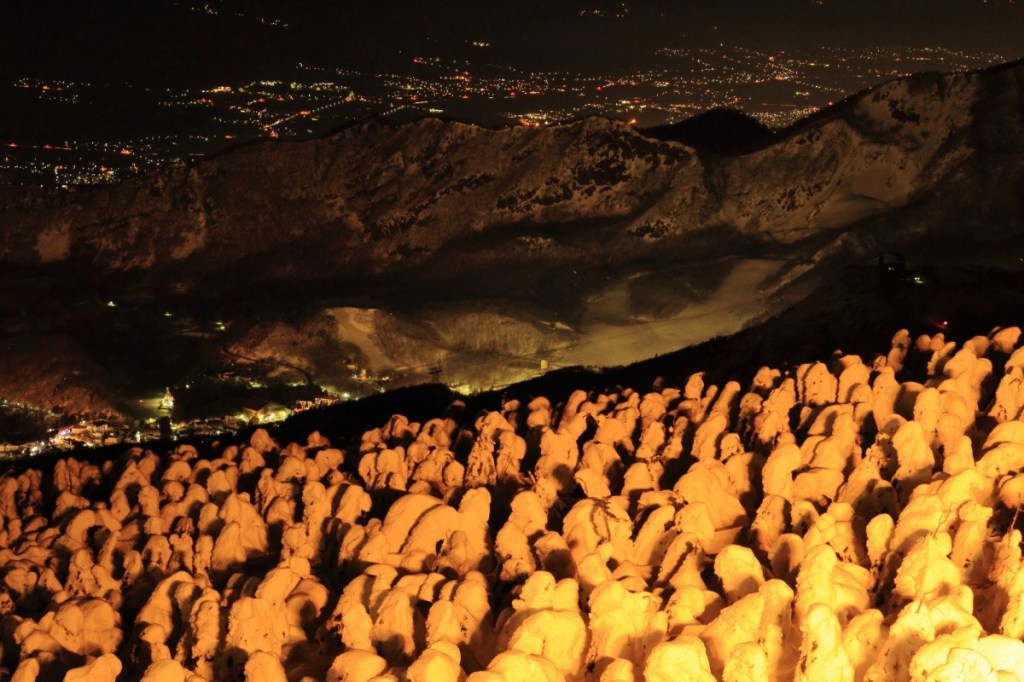 Juhyo snow monsters illuminated at night